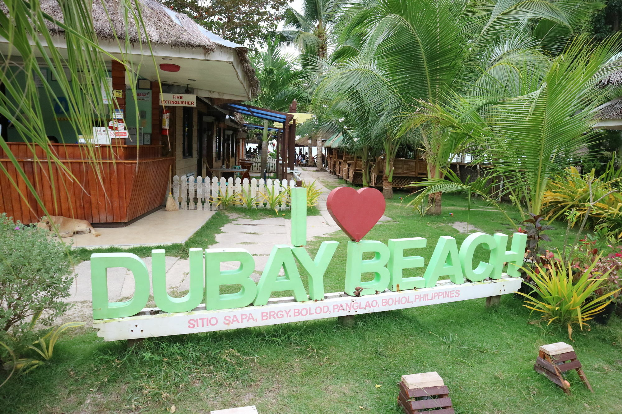 Dubay Panglao Beachfront Resort Libaong Ngoại thất bức ảnh